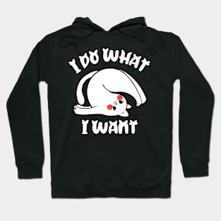 I do what I want funny cat Hoodie